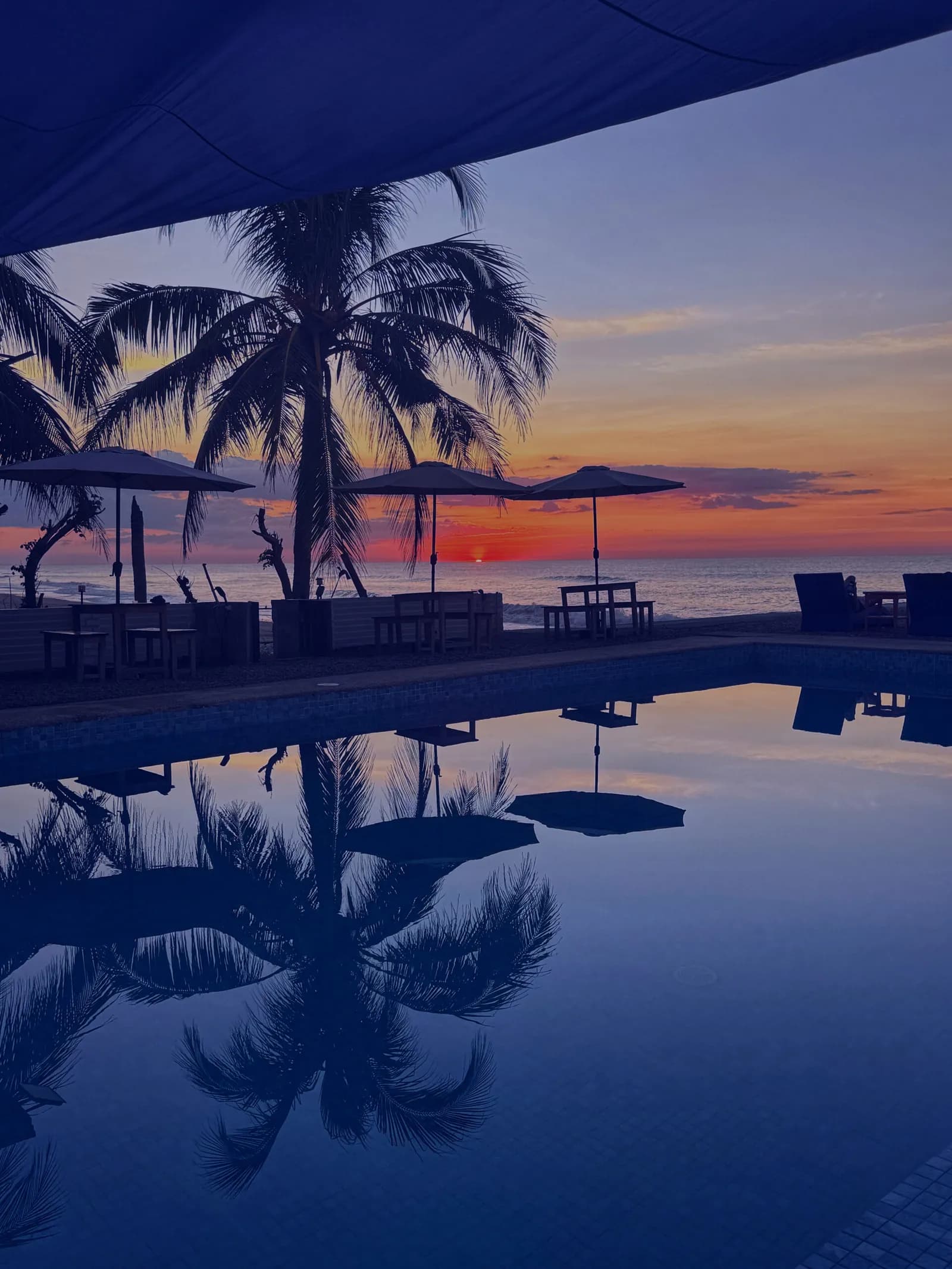 Resort grounds and gardens